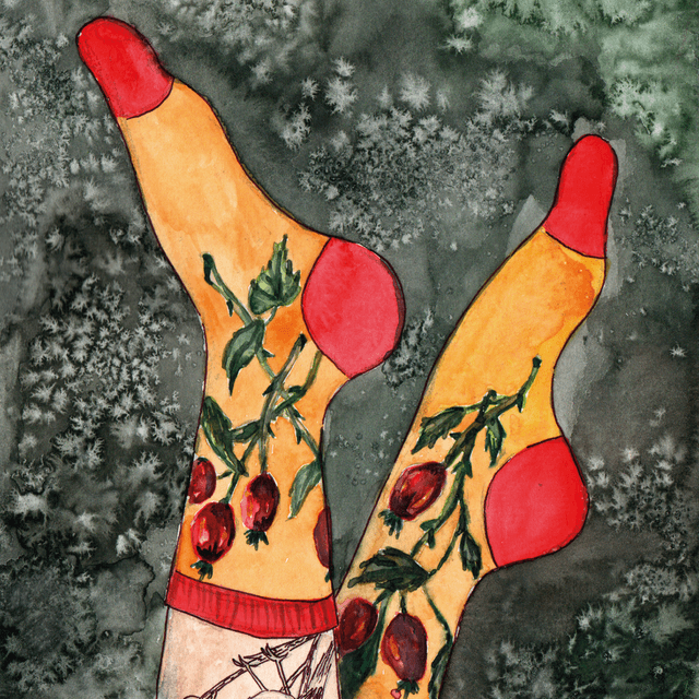Rosehips Socks - carte postale