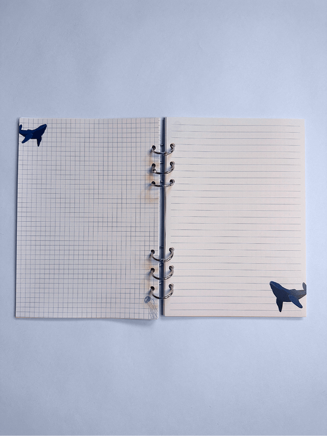 Carnet spirale - baleine