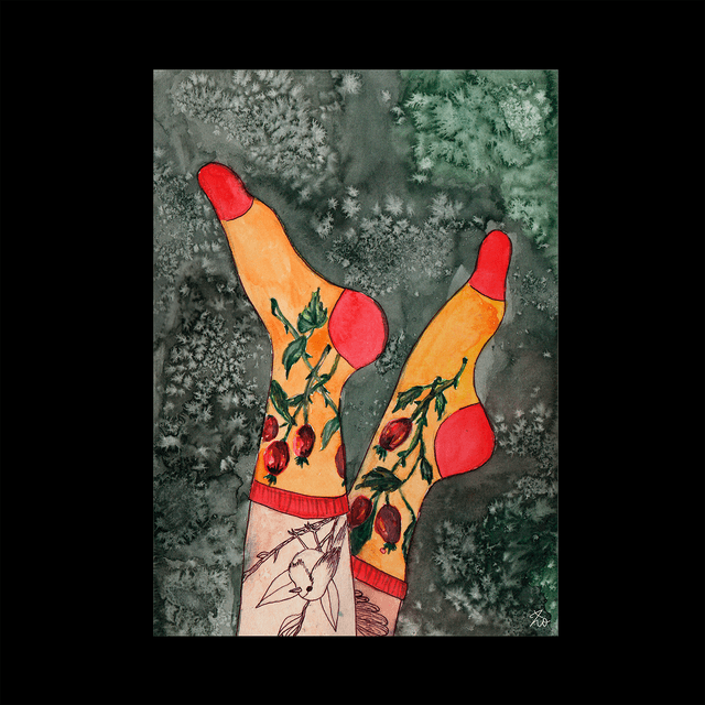 Rosehips Socks - carte postale